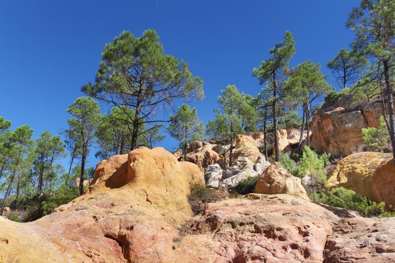 Domaine Les Petites Vaines Otel Goult Dış mekan fotoğraf